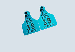 Aretes.jpg