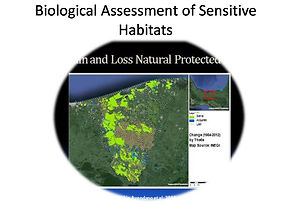 CE Sensitive Habitats .jpg