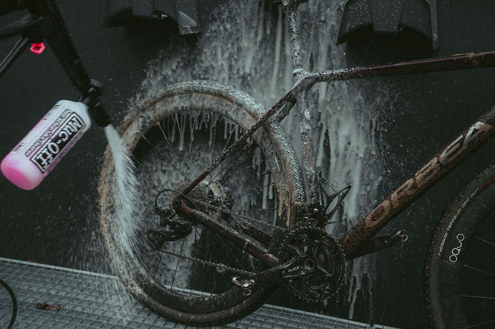 Workshop: How to clean your bike