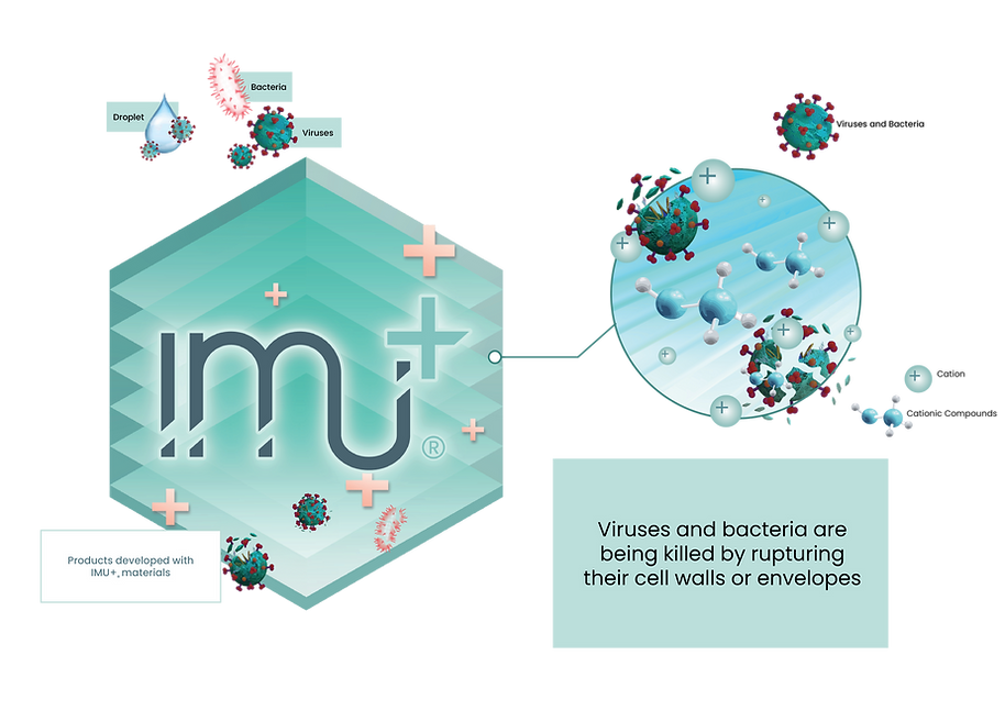 IMU+® Mechanism_Realistic_1.png
