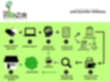 WSB_App_Process_(3)_(2) (1).png