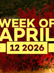 Virtual Sermon - Sunday April 12, 2026