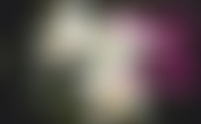 Virtual Service - Sunday, April 9, 2023