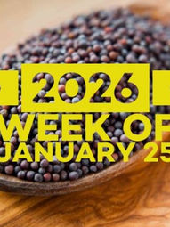 Beautiful Heretic: Finding Meaning