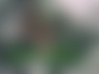 Virtual Service - Sunday, December 11, 2022