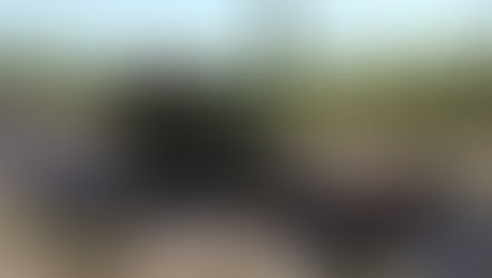 Report for the Community #103