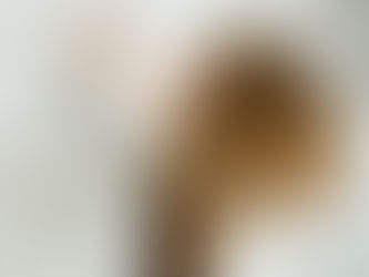 感謝の花束より安眠まくらを
