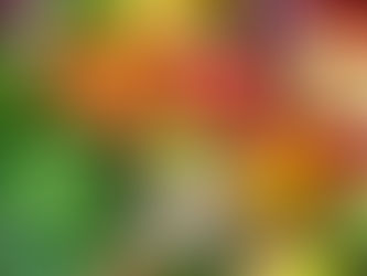 赤、緑、黄色。そして白もあるんだよ
