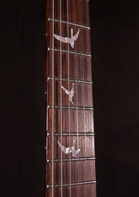 PRS SE Custom 24 - Tobacco Sunburst Tonerider Octane PUs 2008 Detailbild