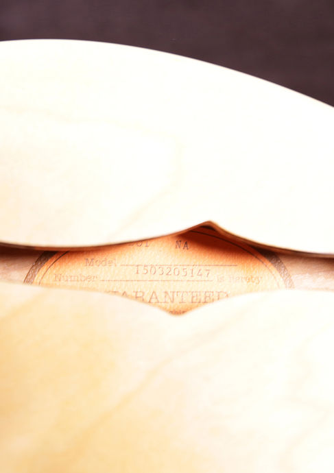 Epiphone ES335 DOT Natural 2015 Detailbild
