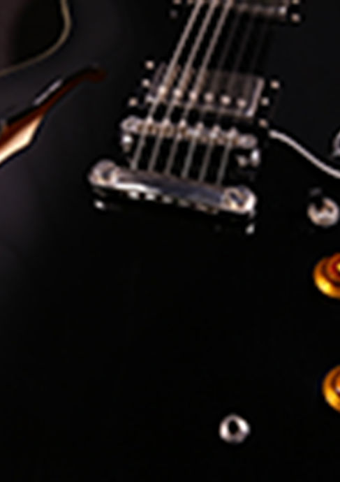 Epiphone DOT 335 Ebony 2010 Detailbild