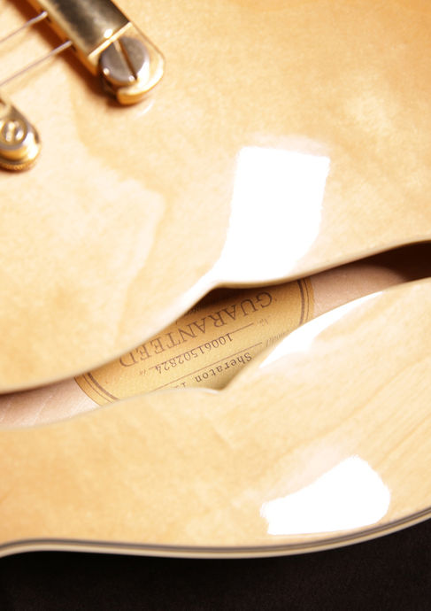 Epiphone Sheraton II Natural 2010 Detailbild