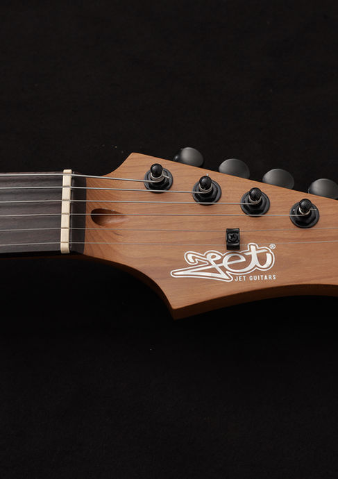 JET Guitars JS-400 HH Matte Black Detailbild