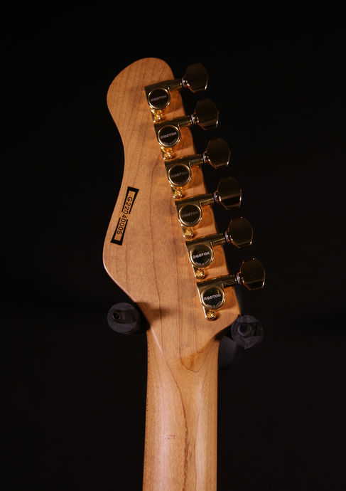 Magneto Guitars Eric Gales Signature RD3 RAWDAWG Detailbild