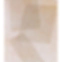 Leitfähige Polyesterfolie TS-58002-AE