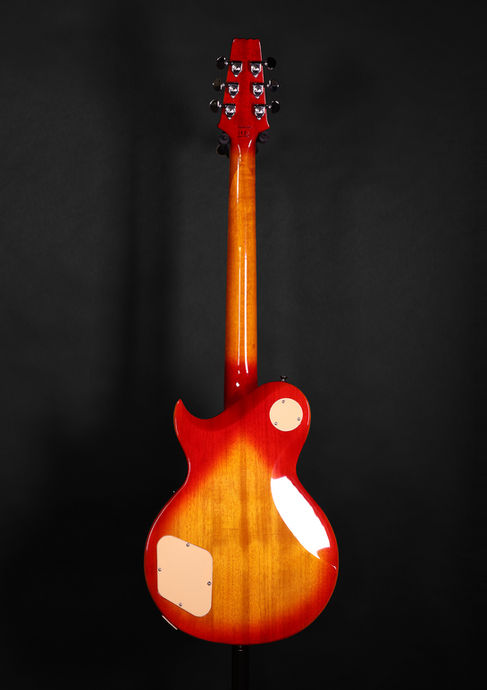 Aria Pro II PE-590 AF AGCS Cherry Sunburst Rückseite