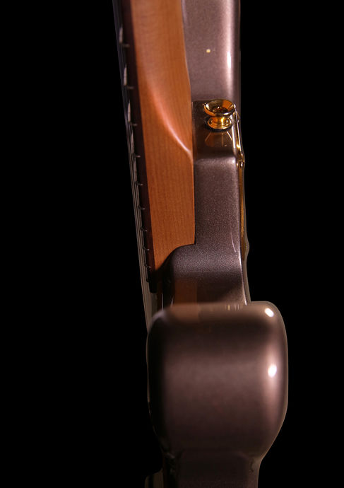 Magneto Guitars Eric Gales Signature RD3 RAWDAWG Detailbild