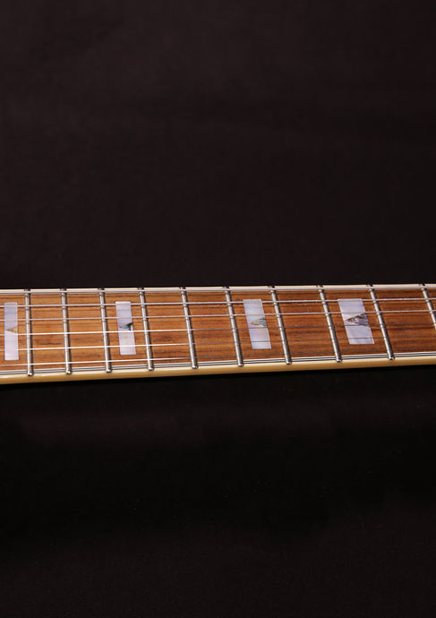 Epiphone Sheraton II Ebony 2010 Detailbild