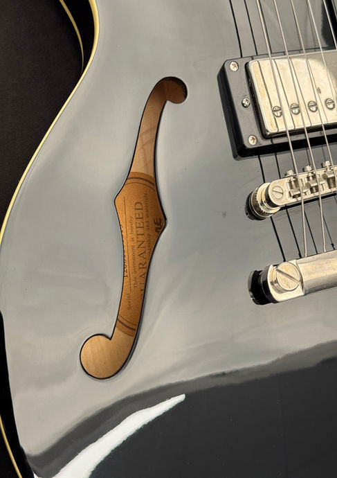 Epiphone ES-339 Ebony 2012 Detailbild