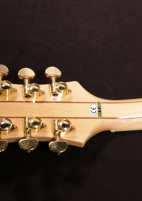 Epiphone Sheraton II Natur 2003 Detailbild