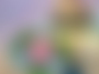 まだまだ暑い