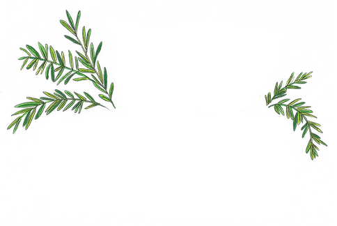 WildMagickSannedLogo - OutlinePositive.p