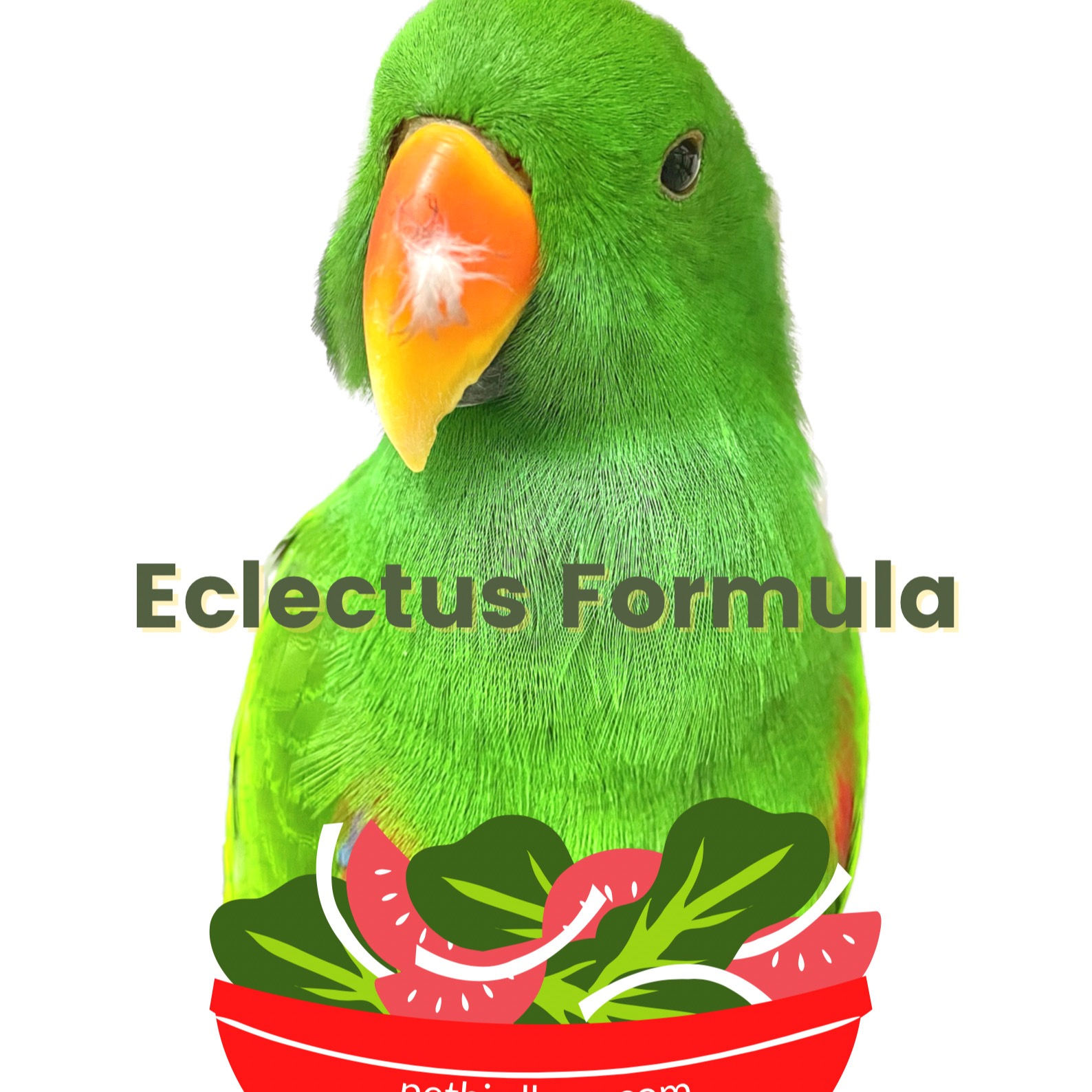 折衷配方｜雀鳥主糧 Eclectus Parrot Formula
