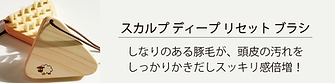 SDRバナー.png