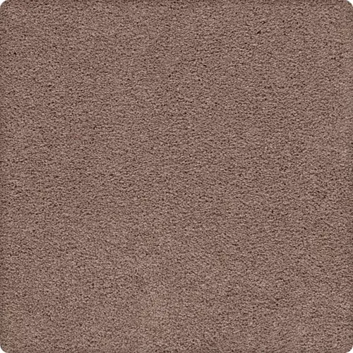 Artisan Delight