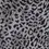 Thumbnail: Royalax II Leopard