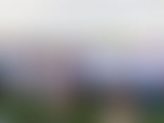 Cozumel se suma a la construcción de paz con la instalación del Consejo Estatal de Paz y Justicia Cívica en Quintana Roo