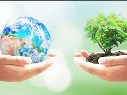BahÃa PrÃncipe Riviera Maya Resorts celebra el DÃa Internacional Contra el Cambio Climático.