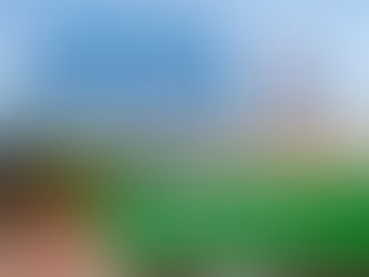 Promueven aprovechamiento del sargazo