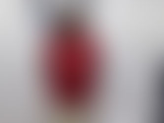 Aseguran a un sujeto con un arma de fuego y cartuchos útiles en el asentamiento irregular In House