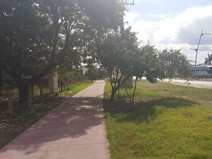 Falta de iluminación en ciclopista provoca inseguridad para ciclistas y peatones.