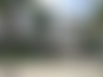 Recaudó Ayuntamiento de Cozumel en un mes más dinero por predial que todo 2019