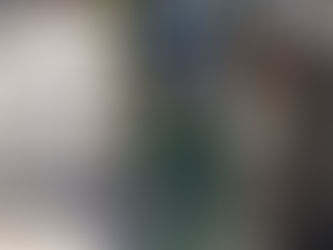 Parquimetros recientemente colocados en Playa del Carmen son dañados por vándalos