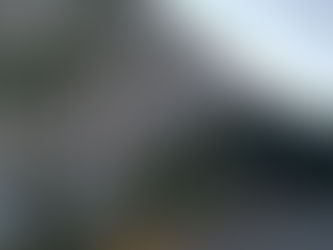 Sector Inmobiliario se reposicionará como el primer eje generador de economía en este 2021: AMPI