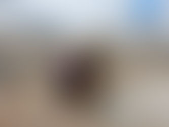 Tulum Country reafirma compromiso en construcción de Casa de Asistencia Social "Sirviendo con Amor"