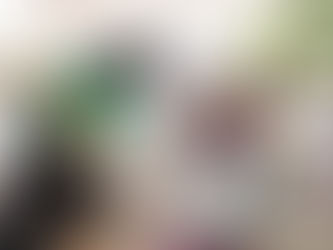 DIF-Tulum lleva despensas a familias de la zona de transición en Tulum