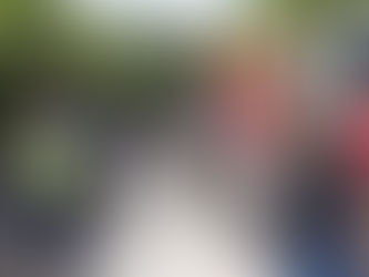 Encabeza Estefanía Mercado rescate emergente y abre expediente por abandono de cuatro “lomitos”