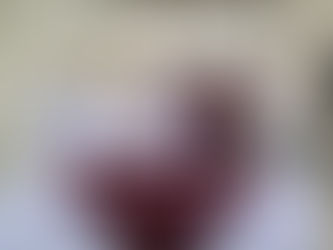 Entregan reconocimientos a alumnas, alumnos y talleristas que participaron en cursos de capacitación en los Centros de Desarrollo Comunitario de Playa del Carmen.