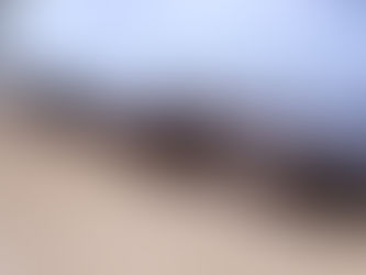 No se detienen en la limpieza diaria de sargazo