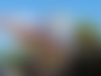 Grupo Xcaret alista la meta de Triatlón Xel-Há 2019 en la Riviera Maya