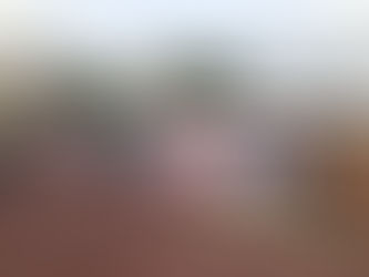 Marcha morenista contra el “Gran Fraude Electoral”, caldo de cultivo para el Covid-19