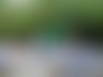 Reabre sus puertas el Eco Parque Xcaret y Hotel Xcaret México, ambos de Grupo Xcaret.