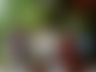 Canirac presenta la campaña "Estamos Cubiertos"