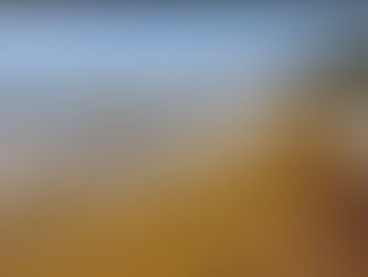 Pese a barreras de contención, se desborda arribo de sargazo en Playa.