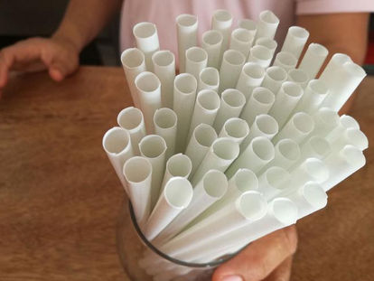 Anuncian Tercera Jornada "Por un Quintana Roo Libre de Plásticos"