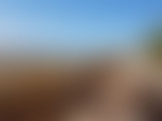 Por medio de talleres, buscan alternativas para retirar sargazo de las playas